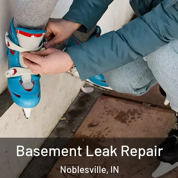  Basement Leak Repair Noblesville, IN
