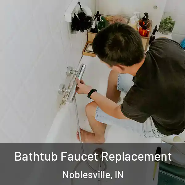  Bathtub Faucet Replacement Noblesville, IN