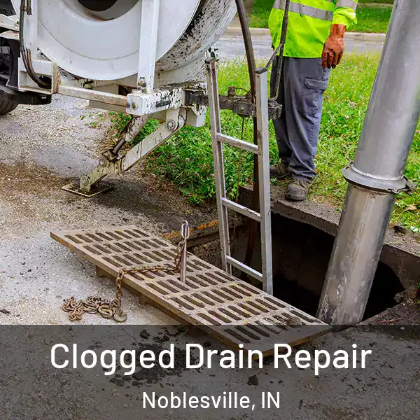  Clogged Drain Repair Noblesville, IN