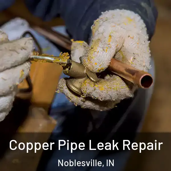  Copper Pipe Leak Repair Noblesville, IN