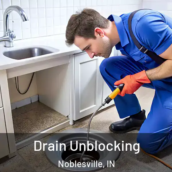  Drain Unblocking Noblesville, IN
