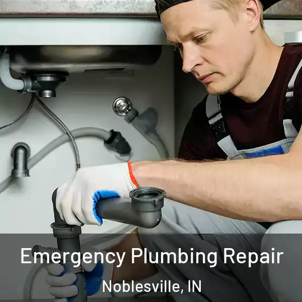  Emergency Plumbing Repair Noblesville, IN