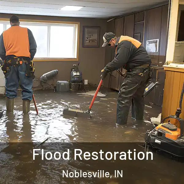  Flood Restoration Noblesville, IN