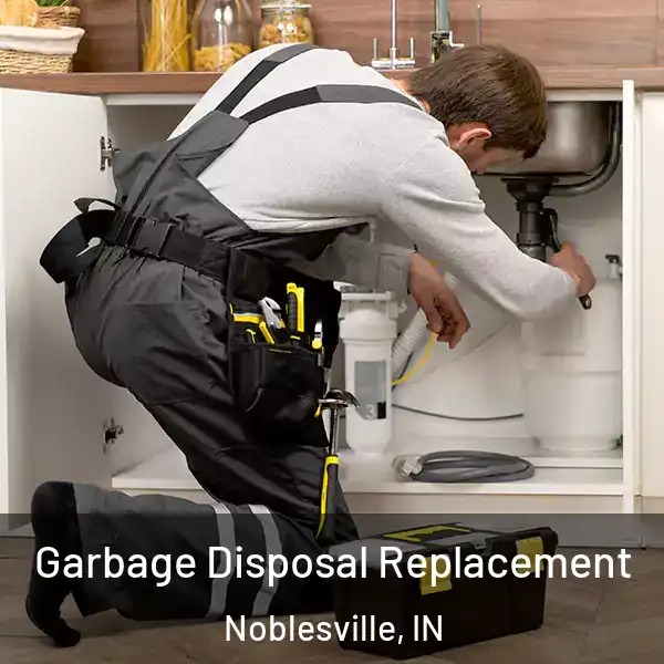  Garbage Disposal Replacement Noblesville, IN