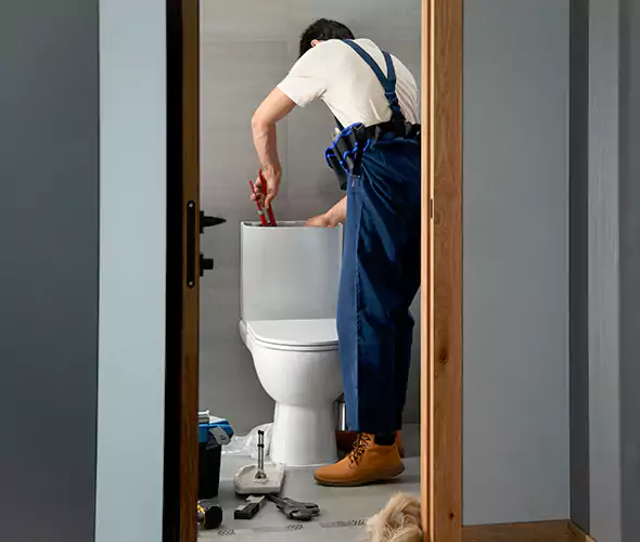 Professional Plumbers for Toilet Bowl Replacement in Noblesville, IN: Schedule Affordable Toilet Replacement Services With Us