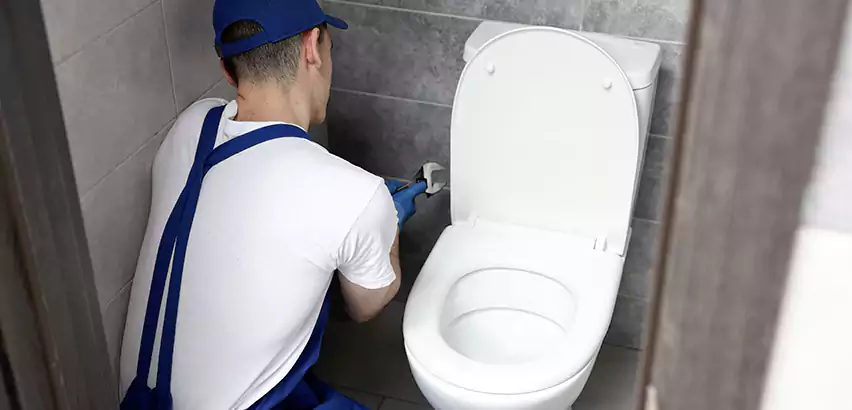 Toilet Lid Replacement in Noblesville