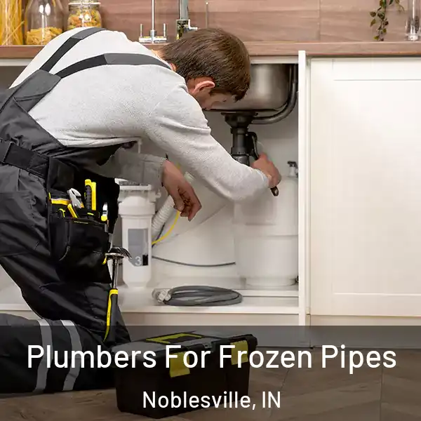  Plumbers For Frozen Pipes Noblesville, IN