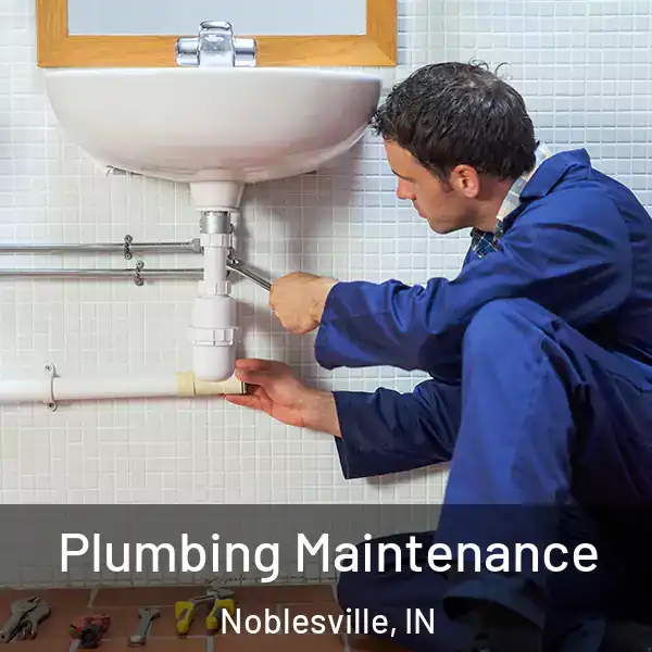  Plumbing Maintenance Noblesville, IN