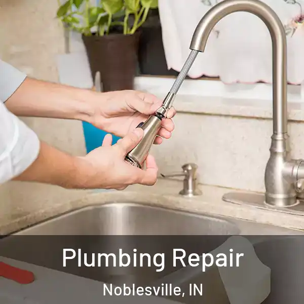  Plumbing Repair Noblesville, IN