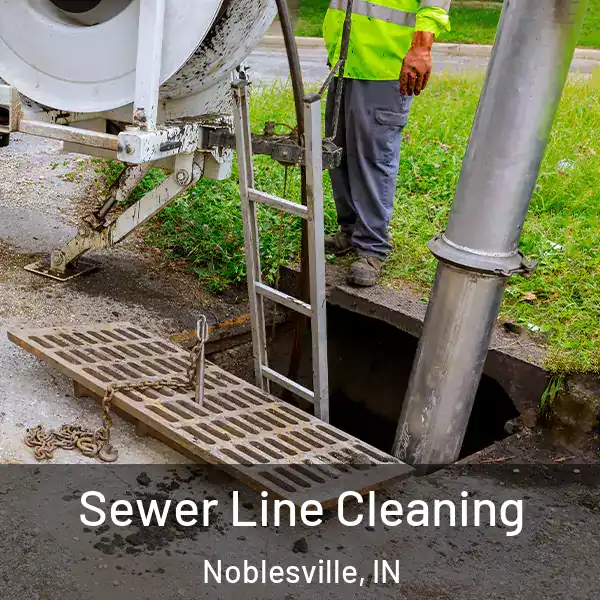  Sewer Line Cleaning Noblesville, IN