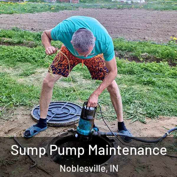  Sump Pump Maintenance Noblesville, IN