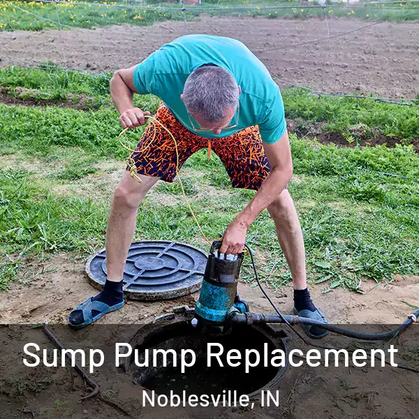  Sump Pump Replacement Noblesville, IN