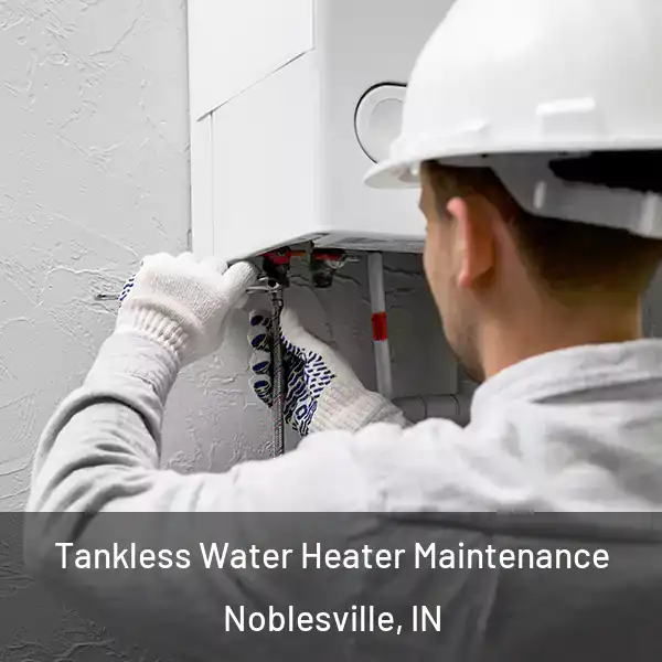  Tankless Water Heater Maintenance Noblesville, IN