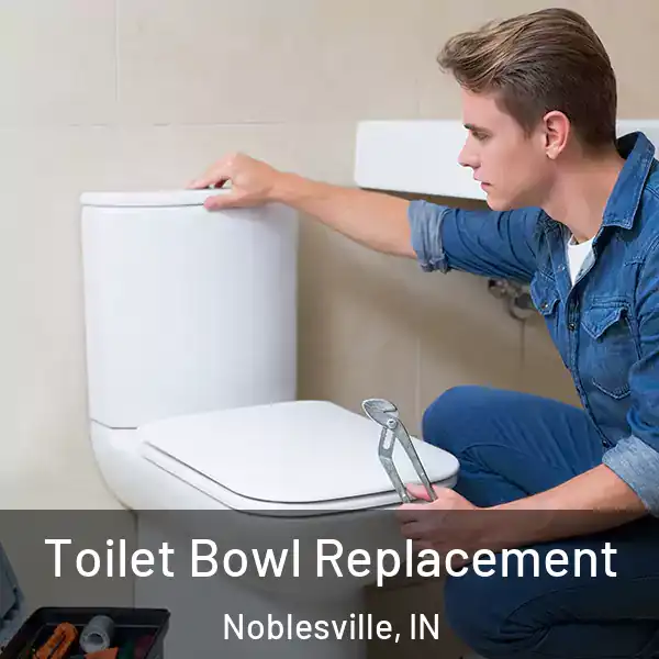  Toilet Bowl Replacement Noblesville, IN