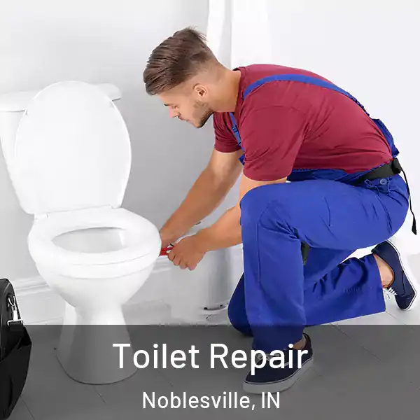  Toilet Repair Noblesville, IN