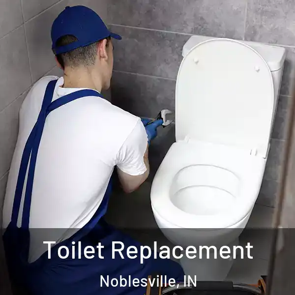  Toilet Replacement Noblesville, IN