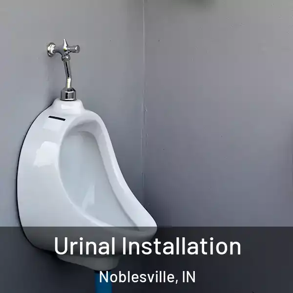  Urinal Installation Noblesville, IN