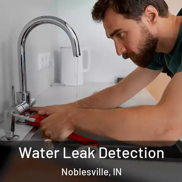  Water Leak Detection Noblesville, IN