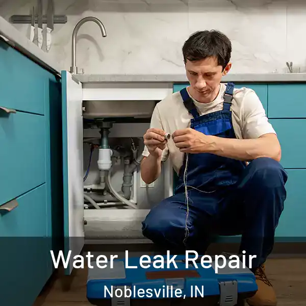  Water Leak Repair Noblesville, IN