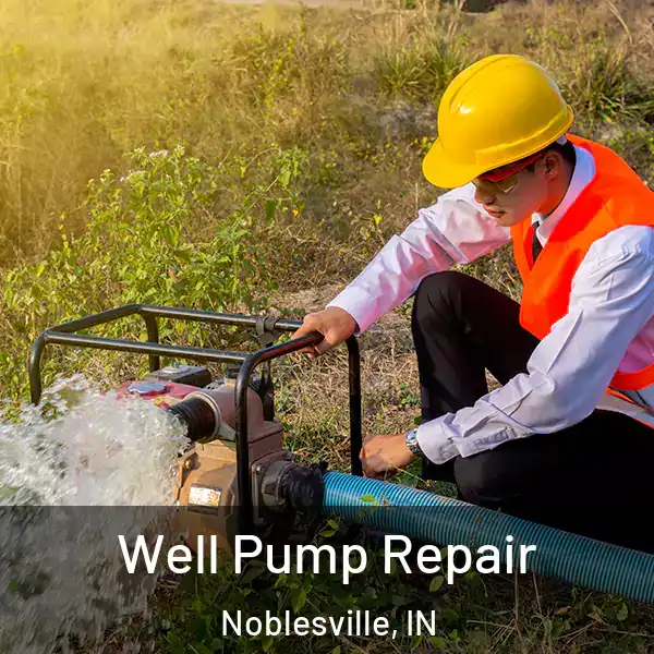  Well Pump Repair Noblesville, IN