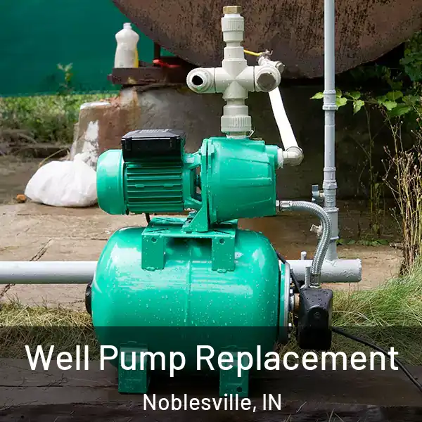  Well Pump Replacement Noblesville, IN